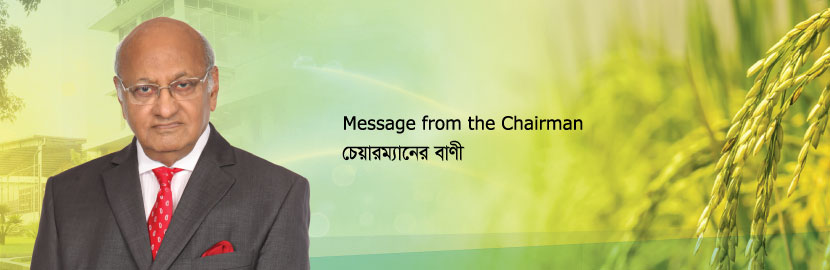 Message from the Chairman
